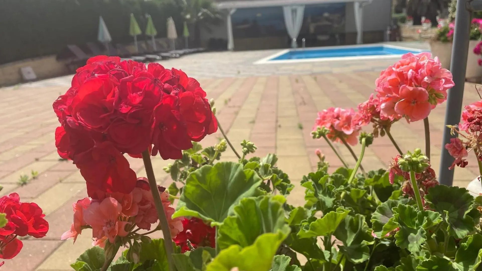 Refined Villa In Enna With Private Pool 0*,  Italy